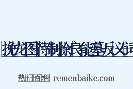 挽龙图待制徐良能墓反义词是什么意思的图片